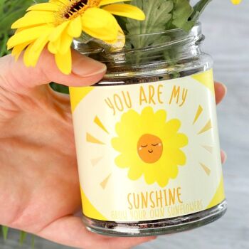 Kit de culture en pot Happy Sunflower 2