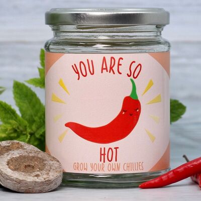 Hot Chilli Jar Grow Kit