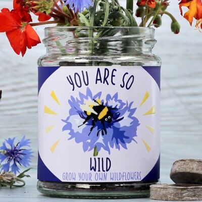 Happy Wildflower Jar Grow Kit