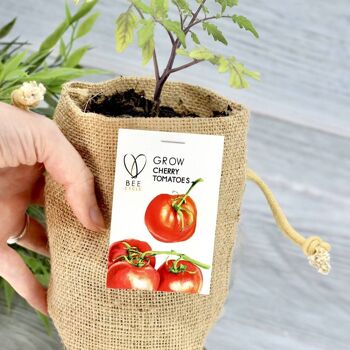 Ensemble de culture de sac de jute de tomates cerises 2