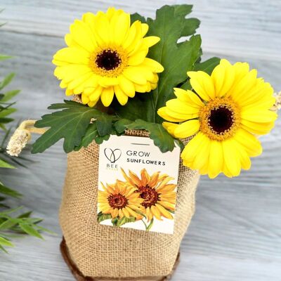 Set de cultivo de bolsa de yute Happy Sunflower