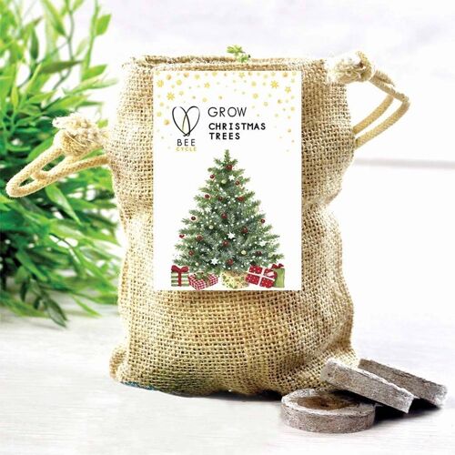 Grow A Merry Christmas Tree Jute Set