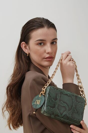 SAC ESGY PYTHON VERT 1