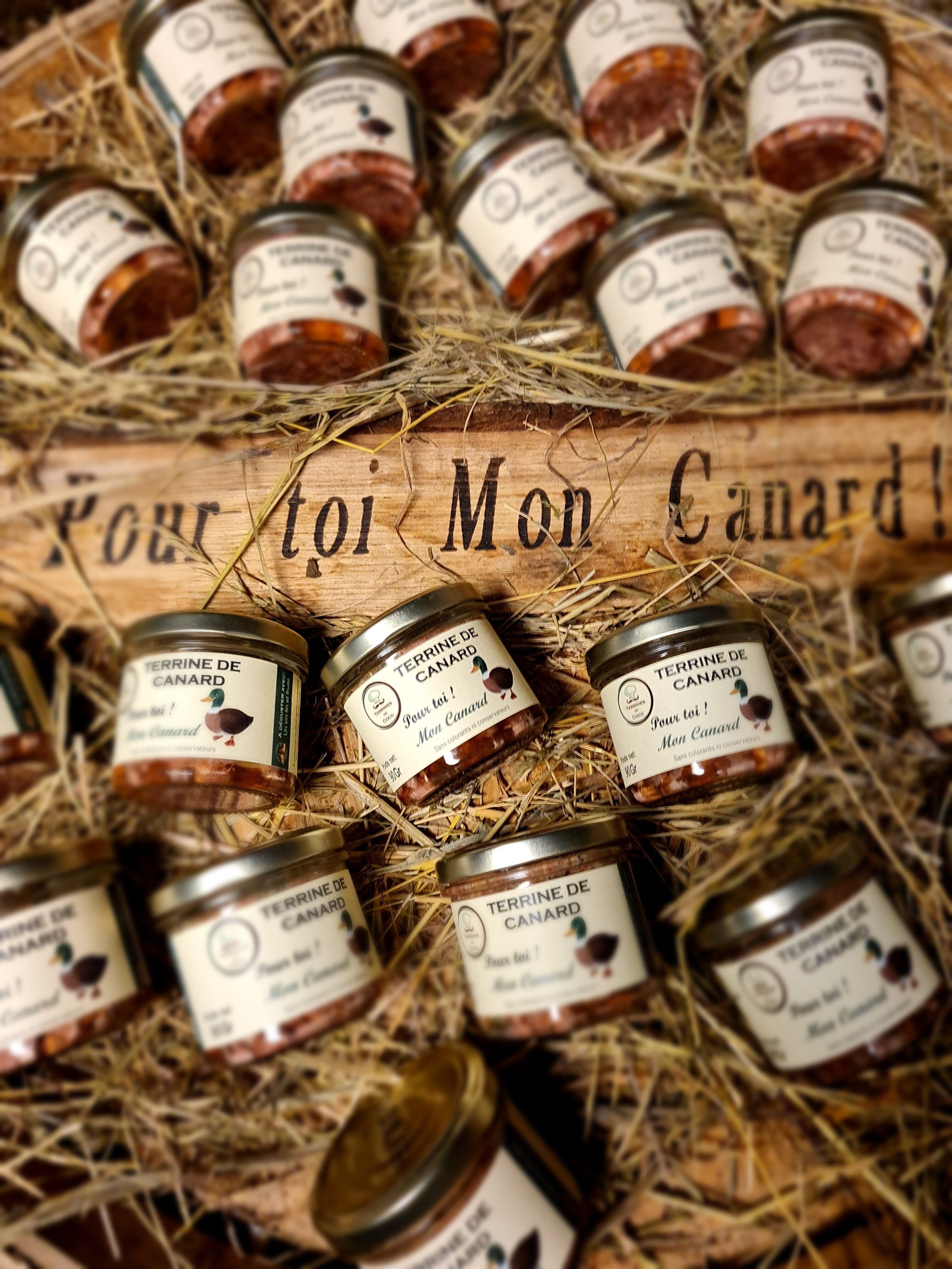 TERRINA D'ANATRA 90GR