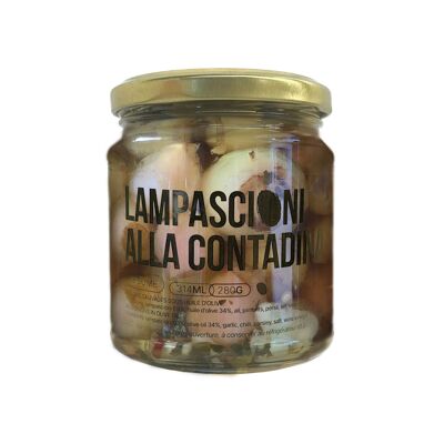 Verduras - Lampascioni alla contadina - Cebollas silvestres en aceite de oliva (280g)