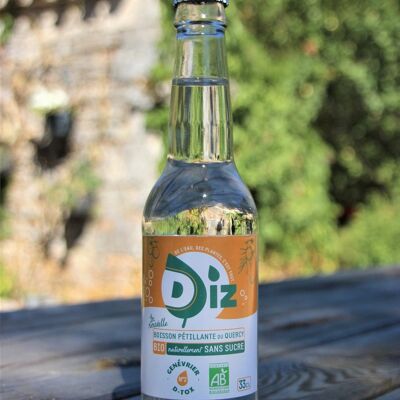 DIZ N°2 sparkling JUNIPER - 33cl