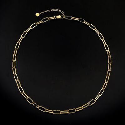 Catena a graffetta in argento (6 mm) - oro 14 carati