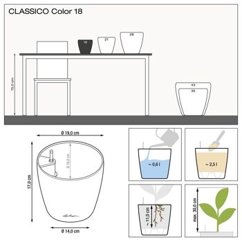 LECHUZA CLASSICO Color 18 Ardoise Poly Résine Table Jardinière Auto-Arrosante avec Substrat D19 H17 cm, 2,5 litres Cap. 6