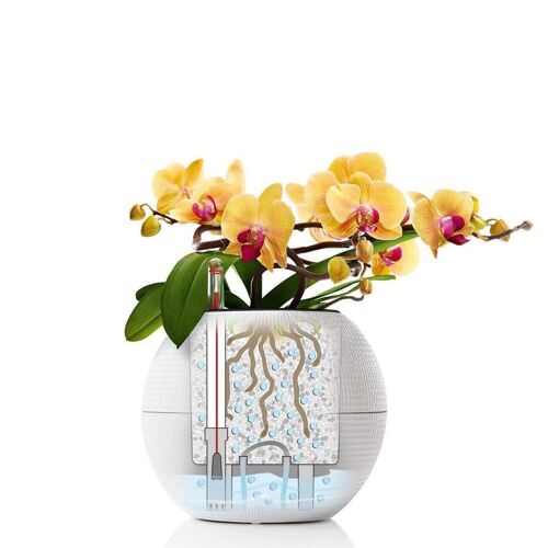 LECHUZA PURO Color 20 White Poly Resin Table Self-watering Planter with Substrate D20 H16 cm, 5 ltrs Cap.