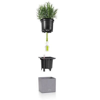 LECHUZA CANTO Stone 14 Stone Grey Poly Resin Table Self-watering Planter H14 L14 W14 cm, 1.4 ltrs Cap.