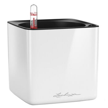 LECHUZA CUBE Glossy 14 White HighGloss Poly Résine Jardinière auto-arrosante H14 L14 W14 cm, 1,4 ltrs Cap. 3