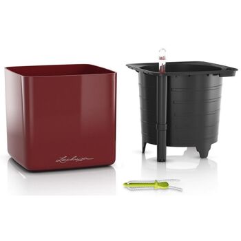 LECHUZA CUBE Glossy 14 Scarlet Red HighGloss Poly Resin Pot de fleurs à arrosage automatique H14 L14 W14 cm, 1,4 ltrs Cap. 5