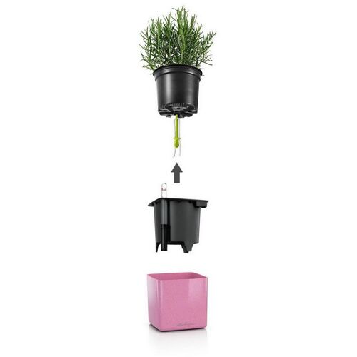 LECHUZA CUBE Glossy Kiss 14 Cherry Pie Highgloss Glitter Poly Resin Table Self-watering Planter H14 L14 W14 cm, 1.4 ltrs Cap.