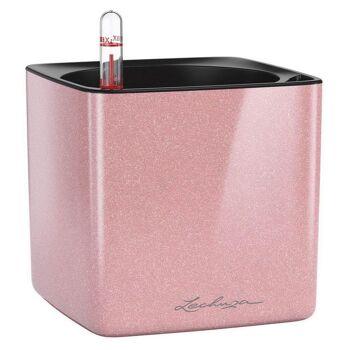 LECHUZA CUBE Glossy Kiss 14 Cashmere Highgloss Glitter Poly Résine Table Jardinière à arrosage automatique H14 L14 W14 cm, 1,4 ltrs Cap. 4