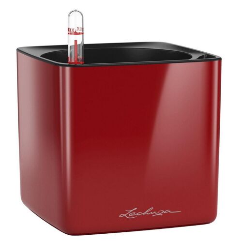 LECHUZA CUBE Glossy 16 Scarlet Red HighGloss Poly Resin Table Self-watering Planter H16 L17 W17 cm, 1.4 ltrs Cap.