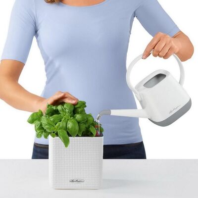 LECHUZA CUBE Color 16 White Poly Resin Table Self-watering Planter H16 L17 W17 cm, 1.8 ltrs Cap.