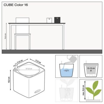 LECHUZA CUBE Color 16 Pistache Poly Résine Jardinière à arrosage automatique H16 L17 W17 cm, 1,8 ltrs Cap. 4