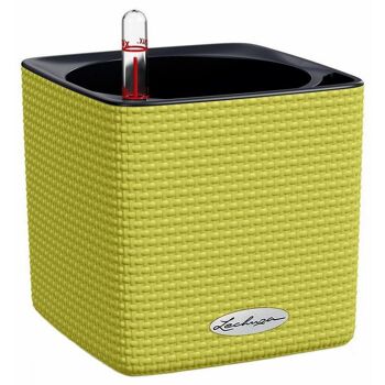 LECHUZA CUBE Color 16 Pistache Poly Résine Jardinière à arrosage automatique H16 L17 W17 cm, 1,8 ltrs Cap. 6