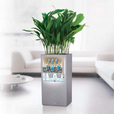 LECHUZA CANTO Stone 30 High Grey Poly Resin Floor Self-watering Planter with Substrate H56 L30 W30 cm, 12 ltrs Cap.