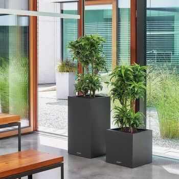 LECHUZA CANTO Stone 40 High Graphite Black Poly Resin Floor Auto-arrosage Planter with Substrate H76 L40 W40 cm, 29 ltrs Cap. 3