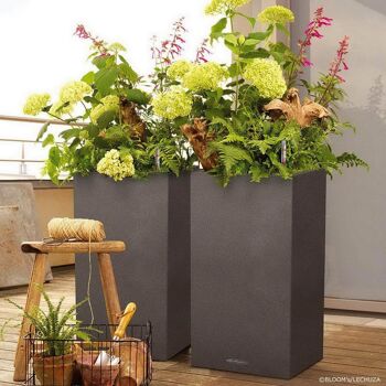LECHUZA CANTO Stone 40 High Graphite Black Poly Resin Floor Auto-arrosage Planter with Substrate H76 L40 W40 cm, 29 ltrs Cap. 6