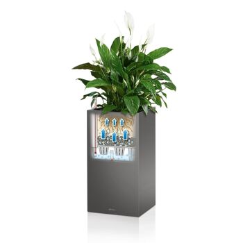 LECHUZA CANTO 40 High White High Gloss Poly Resin Floor Auto-arrosage Planter with Substrate H76 L40 W40 cm, 121,6 ltrs Cap. 10