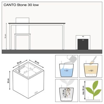 LECHUZA CANTO Stone 30 Low Graphite Black Poly Resin Floor Auto-arrosage Planter with Substrate H30 L30 W30 cm, 12 ltrs Cap. 2