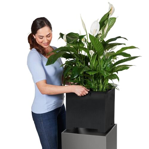 LECHUZA CANTO 40 Low White High Gloss Poly Resin Floor Self-watering Planter with Substrate H40 L40 W40 cm, 64 ltrs Cap.