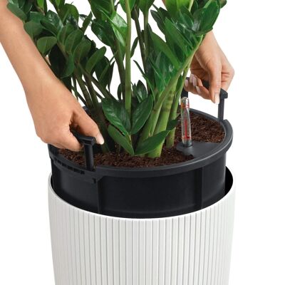 LECHUZA CILINDRO Color 23 Slate Poly Resin Floor Self-watering Planter with Substrate D23 H41 cm, 5.5 ltrs Cap.