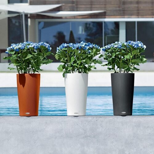 LECHUZA CILINDRO Color 32 Sand Brown Poly Resin Floor Self-watering Planter with Substrate D32 H56 cm, 13 ltrs Cap.