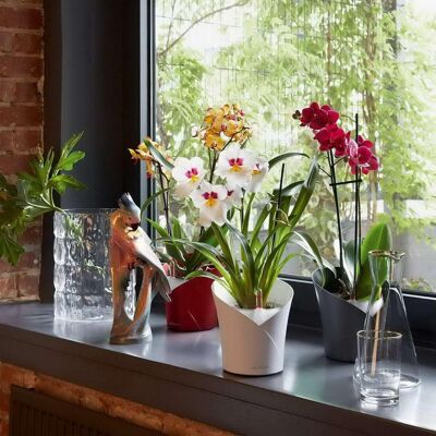 LECHUZA ORCHIDEA White Matt Poly Resin Table Self-watering Planter with Substrate D18 H19.5 cm, 1.01 ltrs Cap.