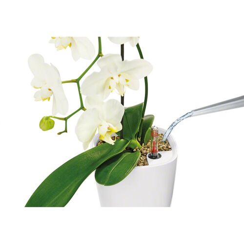 LECHUZA MINI DELTINI Table White Poly Resin Table Self-watering Planter with Substrate D10 H13 cm, 1 ltrs Cap.