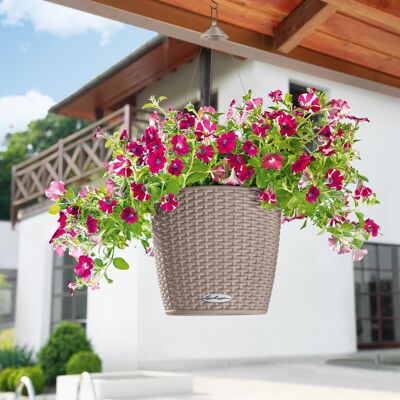 LECHUZA NIDO Cottage 28 Jardinière Auto-Arrosante Suspendue en Résine Poly Marron Sable avec Substrat D27 H23 cm, Bouchon 6 litres.