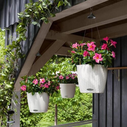 LECHUZA NIDO Cottage 28 White Hanging Poly Resin Self-watering Planter with Substrate D27 H23 cm, 6 ltrs Cap.