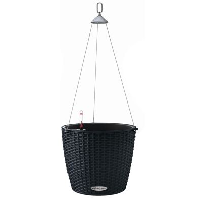 LECHUZA NIDO Cottage 28 Jardinière Auto-Arrosante Suspendue en Résine Poly Noir Graphite avec Substrat D27 H23 cm, Bouchon 6 litres.