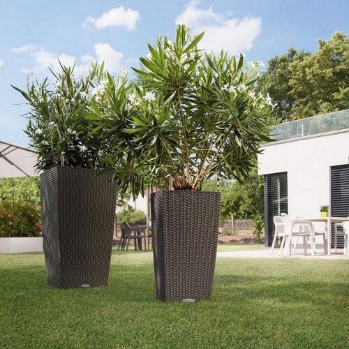 LECHUZA CUBICO Cottage 40 Graphite Black Poly Resin Floor Self-watering Planter with Substrate H75 L40 W40 cm, 31 ltrs Cap.