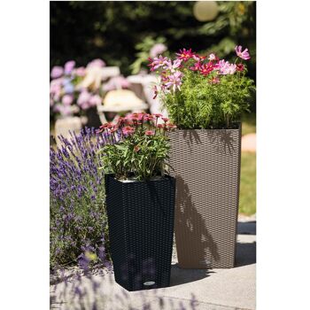 LECHUZA CUBICO Cottage 40 Jardinière à arrosage automatique au sol en résine poly noire graphite avec substrat H75 L40 W40 cm, 31 ltrs Cap. 5