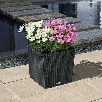 LECHUZA CUBE Cottage 30 Jardinière à arrosage automatique au sol en résine de granit avec substrat H30 L30 W30 cm, 27 ltrs Cap. 5