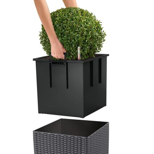 LECHUZA CUBE Cottage 30 Graphite Black Poly Resin Floor Self-watering Planter with Substrate H30 L30 W30 cm, 12 ltrs Cap.