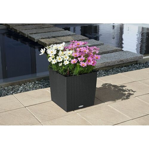 LECHUZA CUBE Cottage 40 Granite Poly Resin Floor Self-watering Planter with Substrate H40 L40 W40 cm, 64 ltrs Cap.