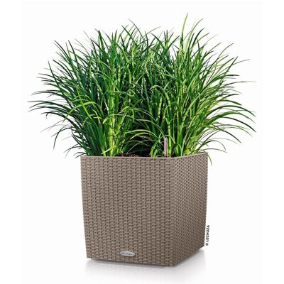 LECHUZA CUBE Cottage 40 Sand Brown Poly Resin Floor Self-watering Planter with Substrate H40 L40 W40 cm, 31 ltrs Cap.