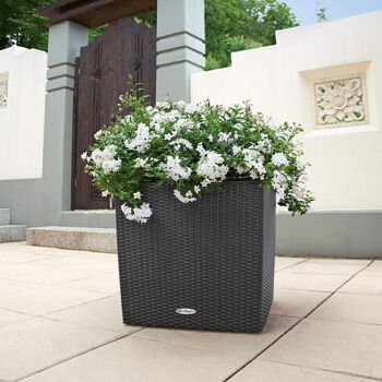 LECHUZA CUBE Cottage 50 Jardinière à arrosage automatique au sol en résine poly gris clair avec substrat H50 L50 W50 cm, 61 ltrs Cap. 7