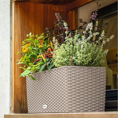 LECHUZA BALCONERA Cottage 50 Sand Brown Poly Resin Window Box Self-watering Planter with Substrate H19 L50 W19 cm, 8 ltrs Cap.