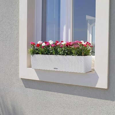 LECHUZA BALCONERA Cottage 80 Light Grey Poly Resin Window Box Self-watering Planter with Substrate H19 L80 W19 cm, 12 ltrs Cap.