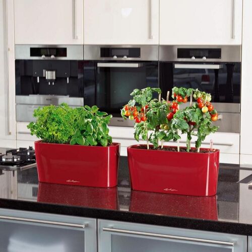 LECHUZA DELTA 10 Scarlet Red High-Gloss Poly Resin Table Self-watering Planter with Substrate H13 L30 W11 cm, 4 ltrs Cap.