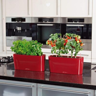 LECHUZA DELTA 10 Scarlet Red High-Gloss Poly Resin Table Self-watering Planter with Substrate H13 L30 W11 cm, 4 ltrs Cap.