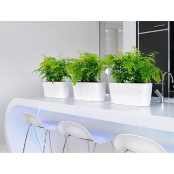 LECHUZA DELTA 20 Jardinière à arrosage automatique de table en résine poly blanche haute brillance avec substrat H18 L40 W15 cm, 11 ltrs Cap. 6