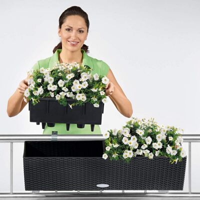 LECHUZA BALCONERA Cottage 80 White Poly Resin Window Box Self-watering Planter with Substrate H19 L80 W19 cm, 29 ltrs Cap.