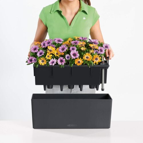 LECHUZA BALCONERA Color 50 Slate Poly Resin Window Box Self-watering Planter with Substrate H19 L50 W19 cm, 18 ltrs Cap.