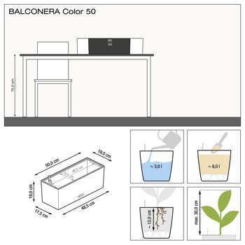 LECHUZA BALCONERA Color 50 Nutmeg Poly Résine Jardinière Auto-arrosage avec Substrat H19 L50 W19 cm, 18 ltrs Cap. 2